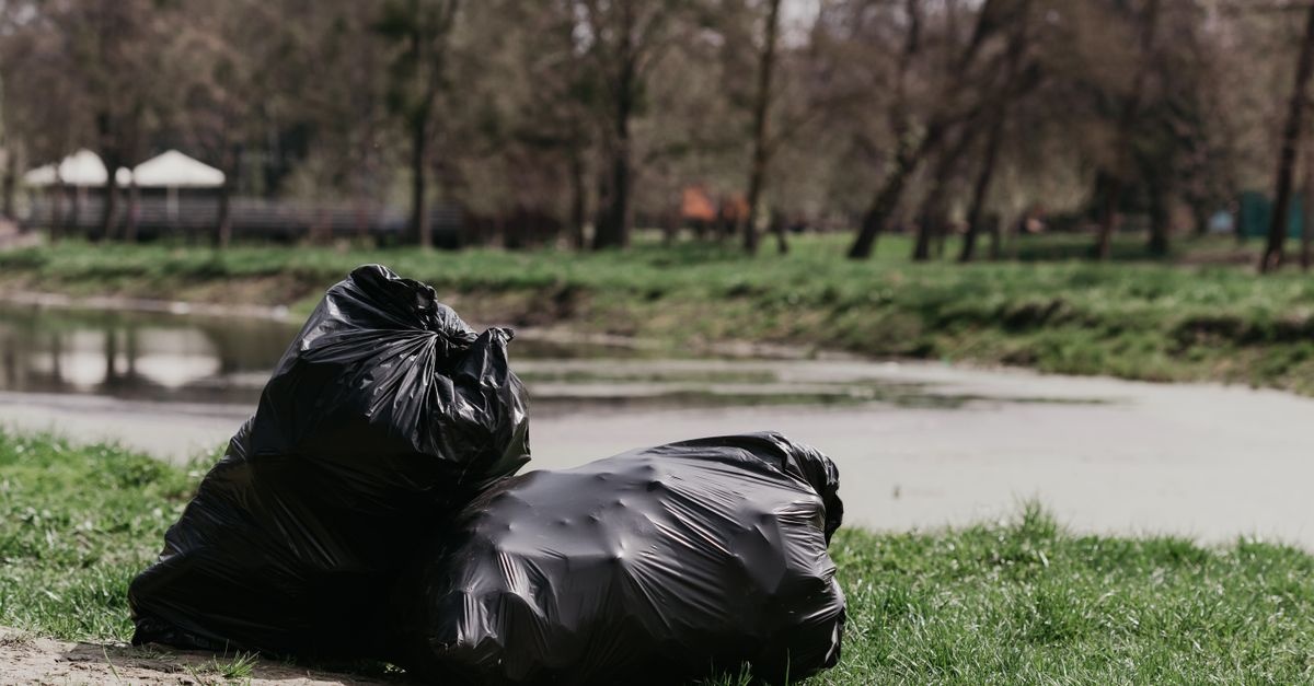 Worki na liście bez tajemnic: jak wybrać te, które ułatwią jesienne porządki w ogrodzie